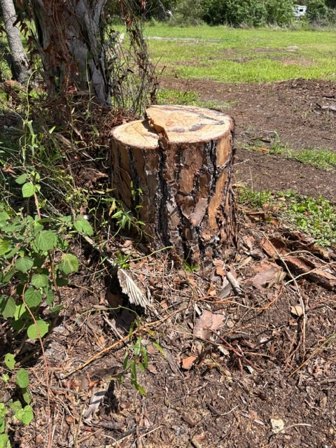 Project photo 4