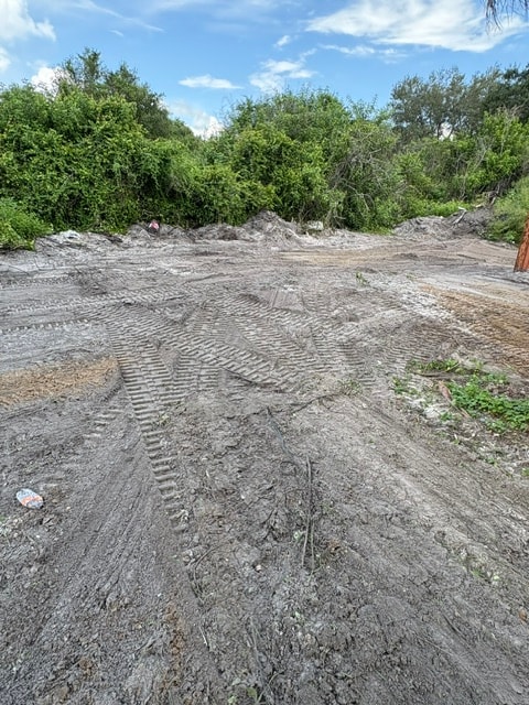 Stump grinding removal